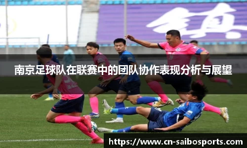 南京足球队在联赛中的团队协作表现分析与展望