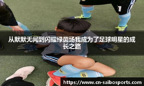 赛博体育官方网站