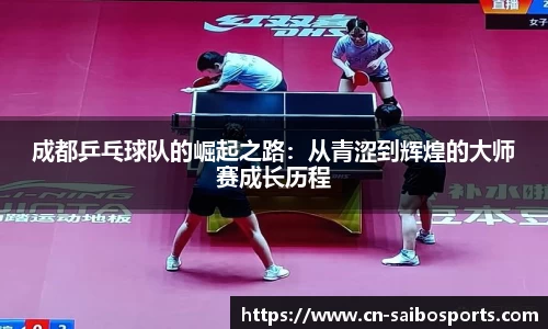 赛博体育官方网站